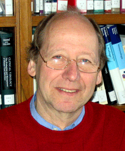 Prof. Dr. Martin Rllinghoff