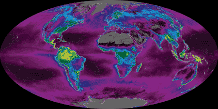 Über die Chlorophyllfluoreszenz lässt sich die Verteilung sauerstoffproduzierender Organismen in den Ozeanen feststellen. Die Aufnahme wurde mit dem Moderate Resolution Imaging Spectroradiometer (MODIS) 2002 an Bord des NASA Terra Satelliten angefertigt.