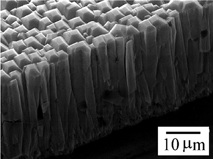Blick durchs Rasterelektronenmikroskop:dichtgedrängt in Reih und Glied sind Diamantkristalle auf einem Silizium-Substrat gewachsen.